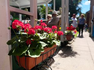 Red geraniums in windo boxes at the House of Tranquility