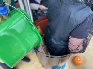 IMG 3164 2