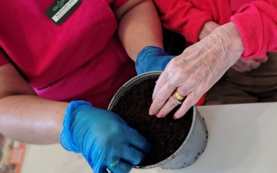 RHS National gardening week