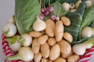 Vegetables grown at Ash Lodge, by residents and respite guests.